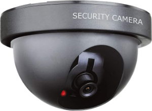 DOME CAMERA DUMMY BYRON